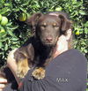 Max
