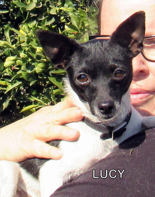 Lucy (Ritzy)