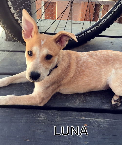 Luna