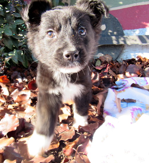 Sunny Bear