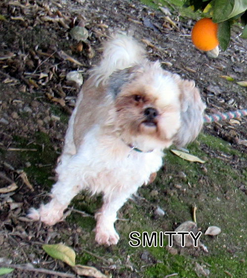Smitty (Ritzy)