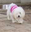 Mimi (Ritzy)