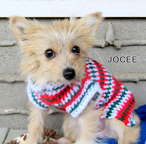 Jocee