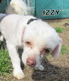 Izzy (Ritzy)