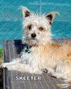 Skeeter