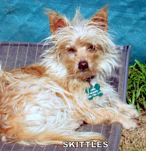 Skittles
