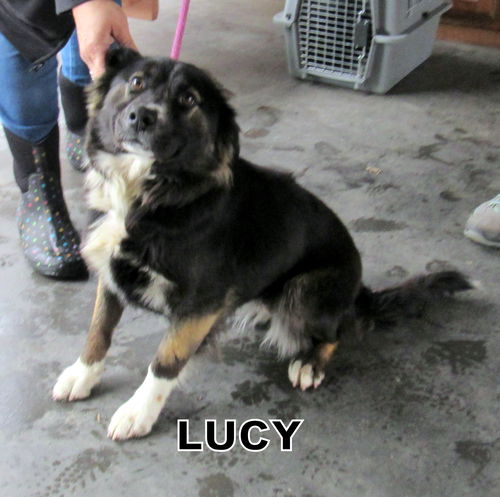 Lucy