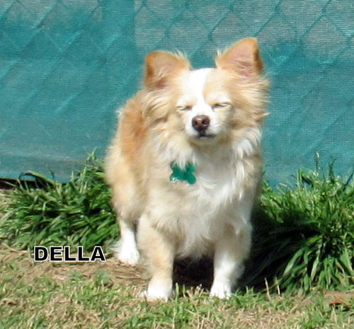 Della