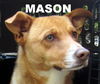 Mason