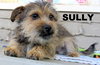 Sully