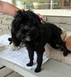 Muffin (Ritzy)