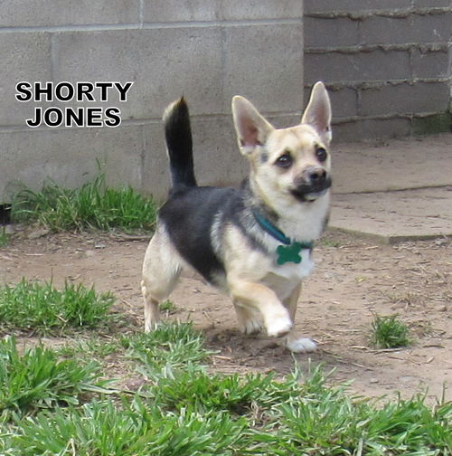 Shorty Jones