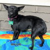 Millie