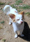 Sparkle