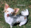 Sparkle