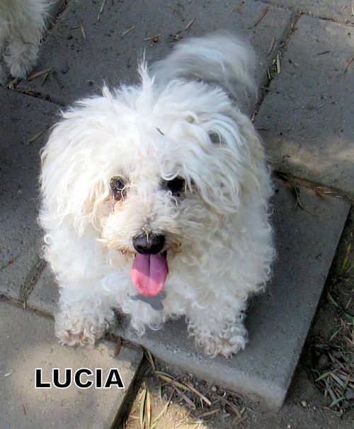 Lucia (Ritzy)