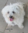 Lucia (Ritzy)