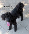 Emmie (Ritzy)