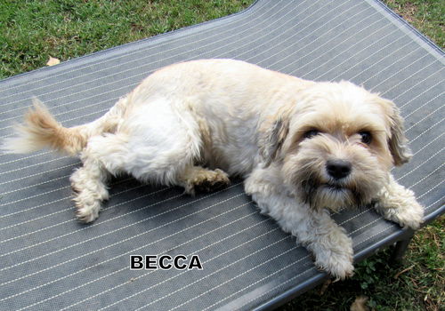 Becca (Ritzy)