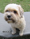 Becca (Ritzy)