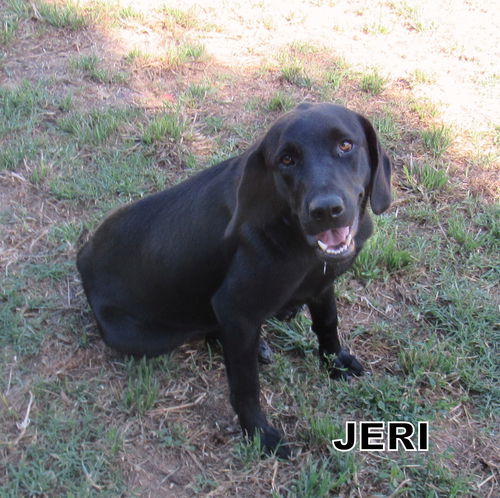 Jeri