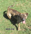 Weezie