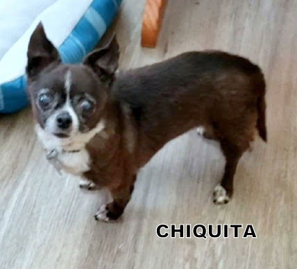 Chiquita (GrandPaws)