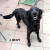 Libby