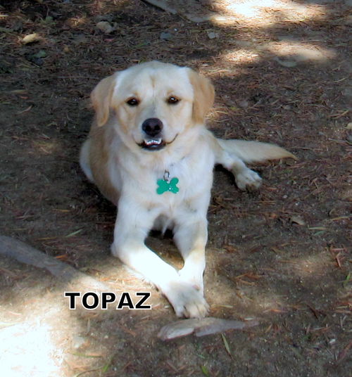 Topaz