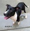 Avery
