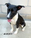 Avery