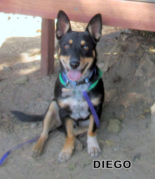 Diego