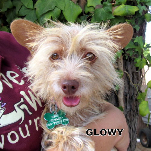 Glowy (Ritzy)