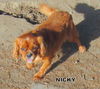 Nicky (Ritzy)