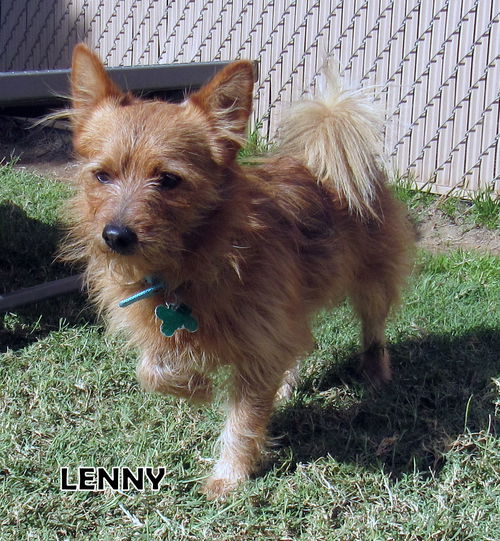 Lenny