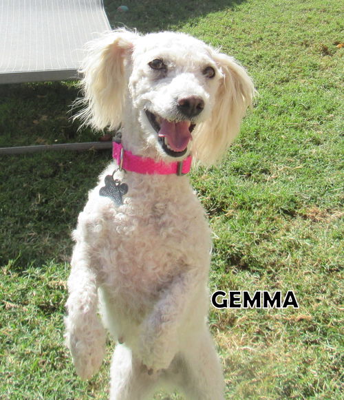 Gemma (Ritzy)