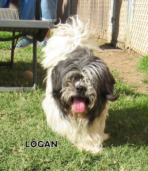 Logan (Ritzy)