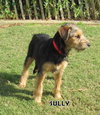 Sully