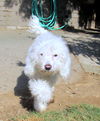 Frosty(Ritzy)