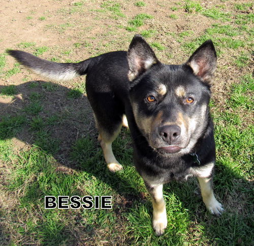 Bessie