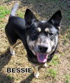 Bessie