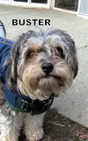 Buster (Ritzy)