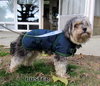 Buster (Ritzy)