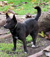 Arnie