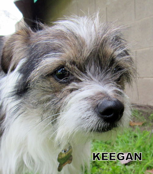 Keegan