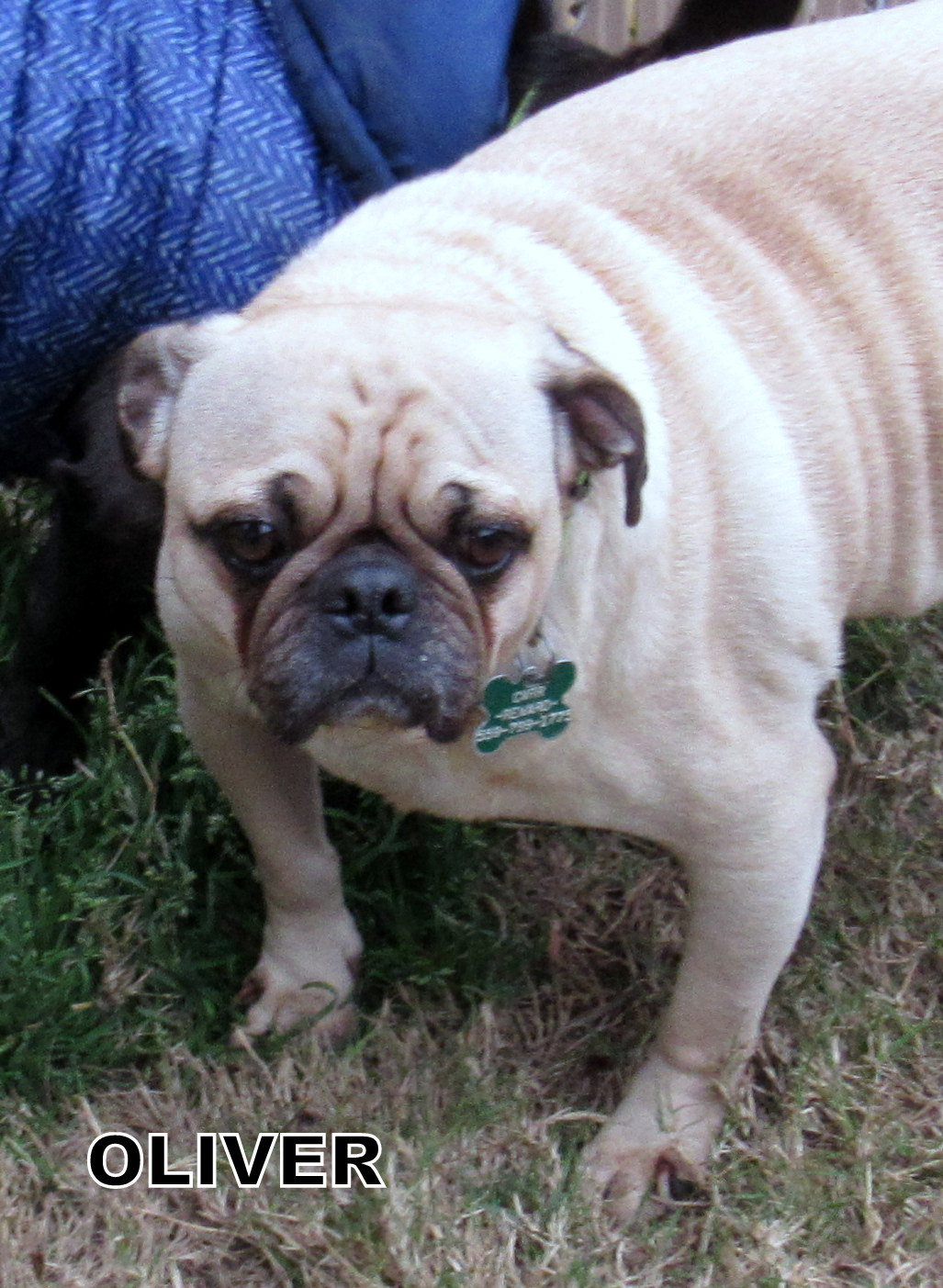 Oliver (Ritzy)'s Web Page