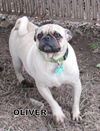 Oliver (Ritzy)