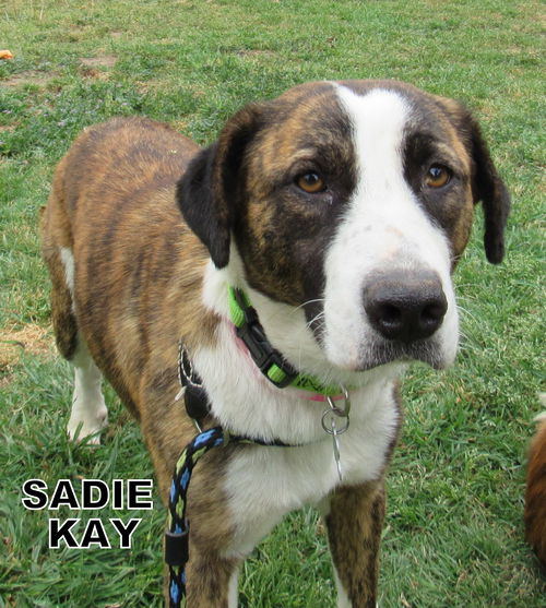 Sadie Kay