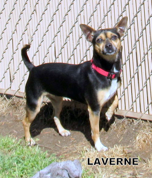 Laverne