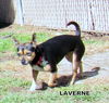 Laverne